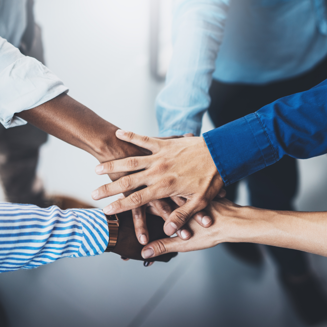 Compensation & Benchmarking Studies