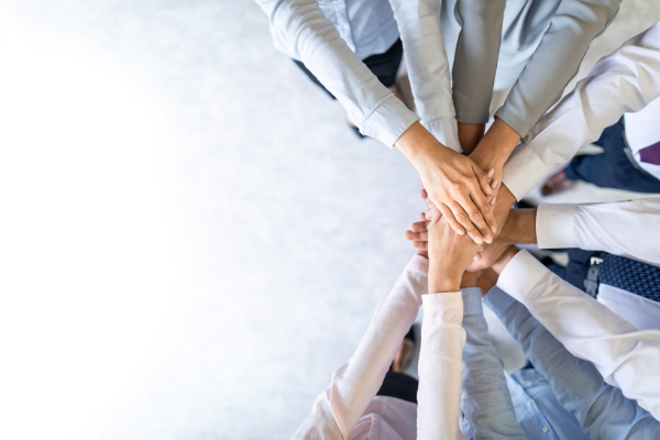 Organizational Development & Succession Planning